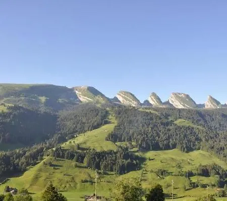 Chaeserruggblick