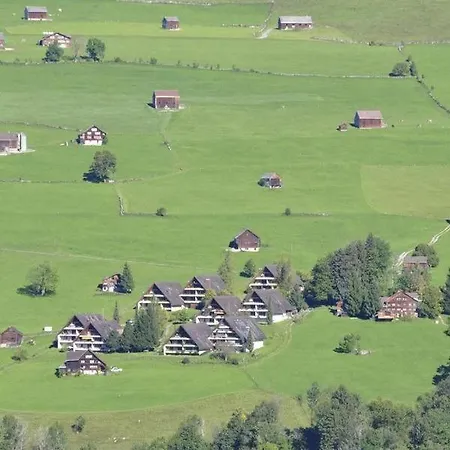 Chaeserruggblick *