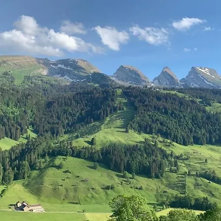 Chaeserruggblick *