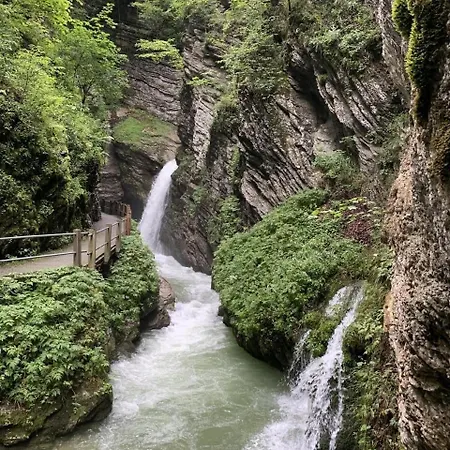 Chaeserruggblick