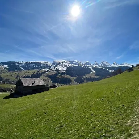 Chaeserruggblick