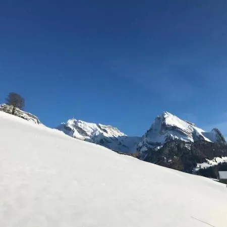 Chaeserruggblick *